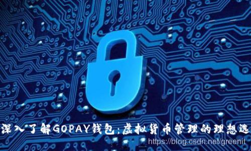 : 深入了解GOPAY钱包：虚拟货币管理的理想选择
