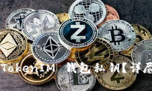 如何安全导入 TokenTokenIM 钱包私钥？详尽步骤与常见问题解答