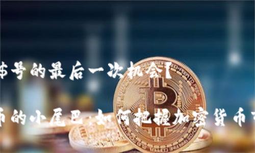 {副示例:}$号的最后一次机会？

掌握虚拟币的小尾巴：如何把握加密货币市场的变化