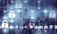 深入探讨虚拟币ssG：未来