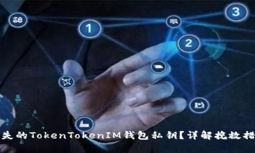 : 如何恢复丢失的TokenTokenIM钱包私钥？详解挽救措施与案例分析
