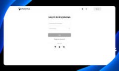 Tokenim ICO接收：全面解析及投资注意事项