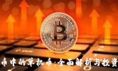   虚拟币中的单机币：全面解析与投资指南
