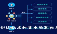 狮王币：揭秘这款虚拟货币的真相与市场前景