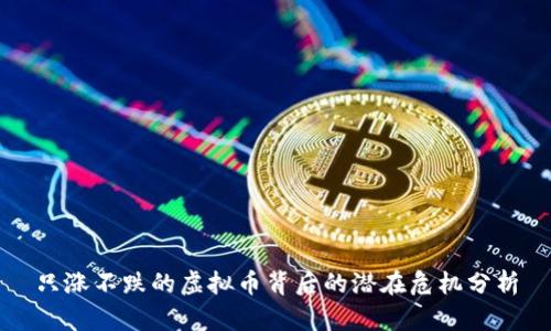 只涨不跌的虚拟币背后的潜在危机分析