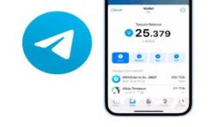 Tokenim支持的币种总览：全面了解加密货币交易平