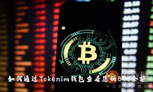 如何通过Tokenim钱包查看您的BTC余额