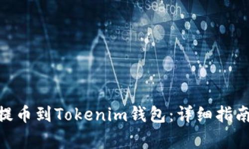 如何将BCH提币到Tokenim钱包：详细指南与注意事项