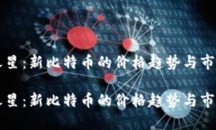 未来之星：新比特币的价格趋势与市场分析未来
