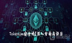 Tokenim安全吗？深入分析与评估