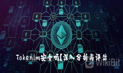 Tokenim安全吗？深入分析与评估
