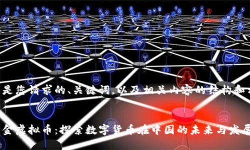 以下是您请求的、关键词，以及相关内容的结构和示例。


中国金虚拟币：探索数字货币在中国的未来与发展
