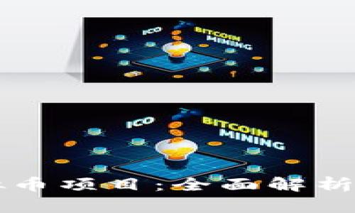 真正的虚拟币项目：全面解析与投资指南