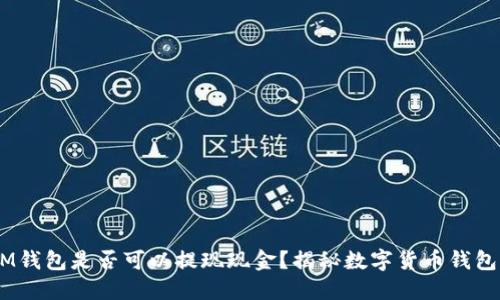 TokenTokenIM钱包是否可以提现现金？揭秘数字货币钱包的功能与用途