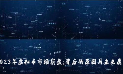 2023年虚拟币市场崩盘：背后的原因与未来展望