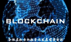 合肥虚拟币的投资与发展前景分析